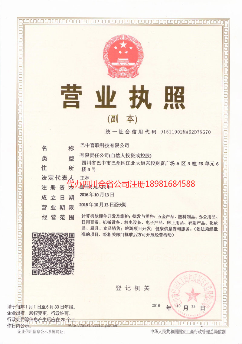 大关大关喜联科技有限公司