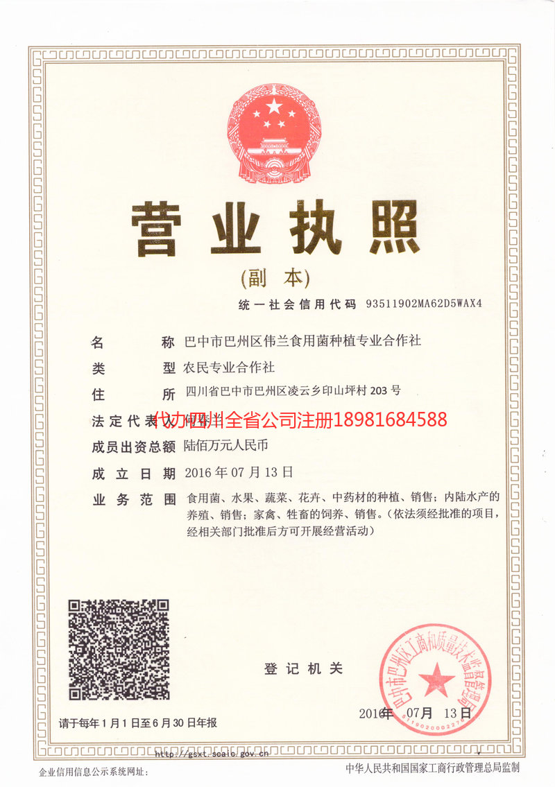 大关大关伟兰食用菌种植专业合作社