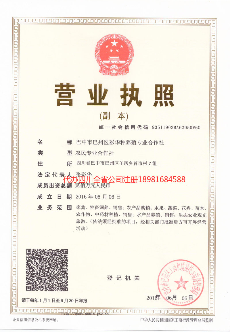 大关大关彩华种养殖专业合作社