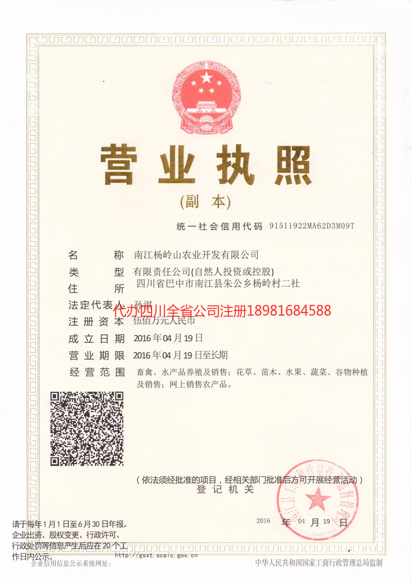 大关大关杨岭山农业开发有限公司