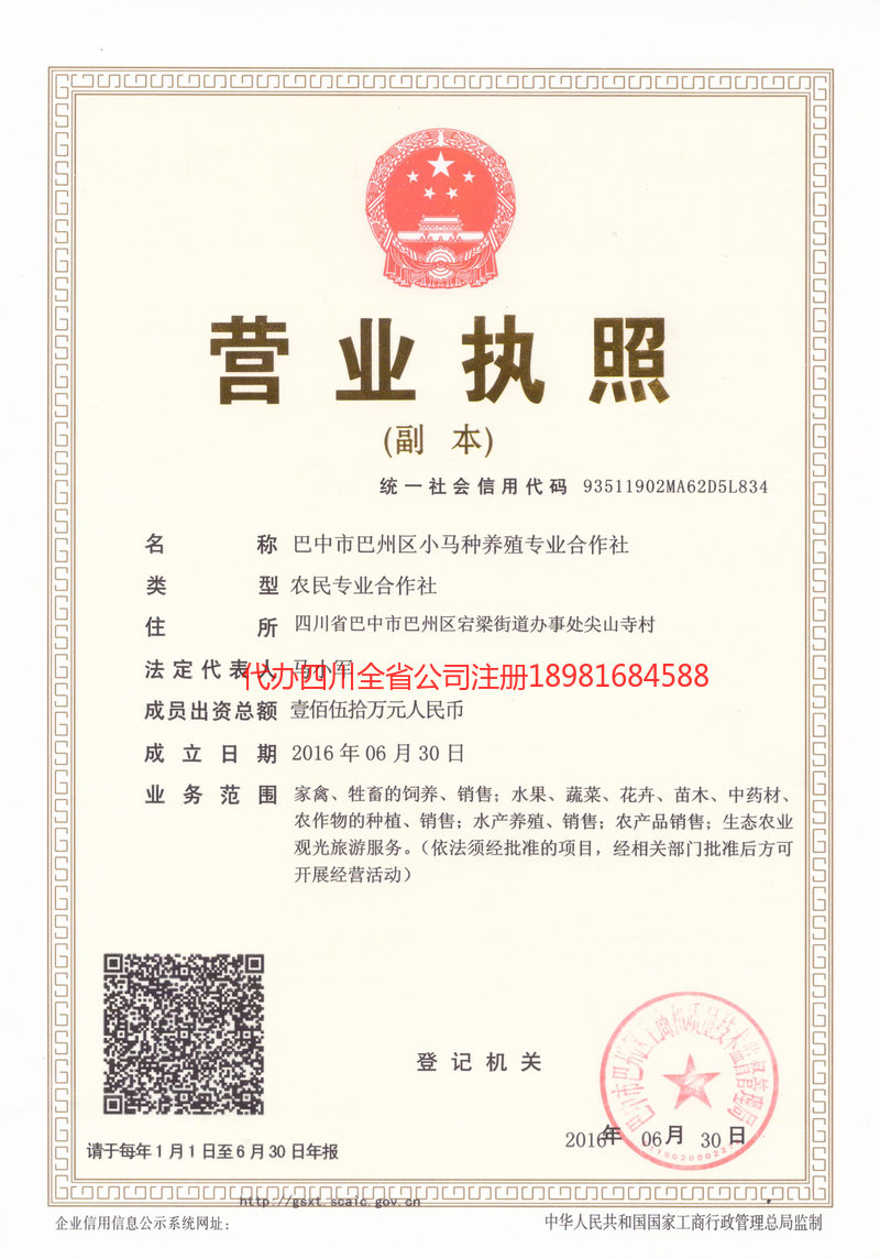 大关大关小马种养殖专业合作社